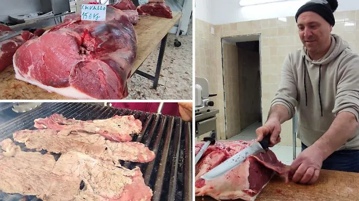 Cavalli animali d&rsquo;affezione, addio alla carne? La proposta di legge "allarma" Catania