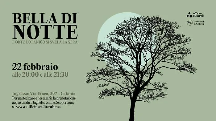 evento Bella di notte
