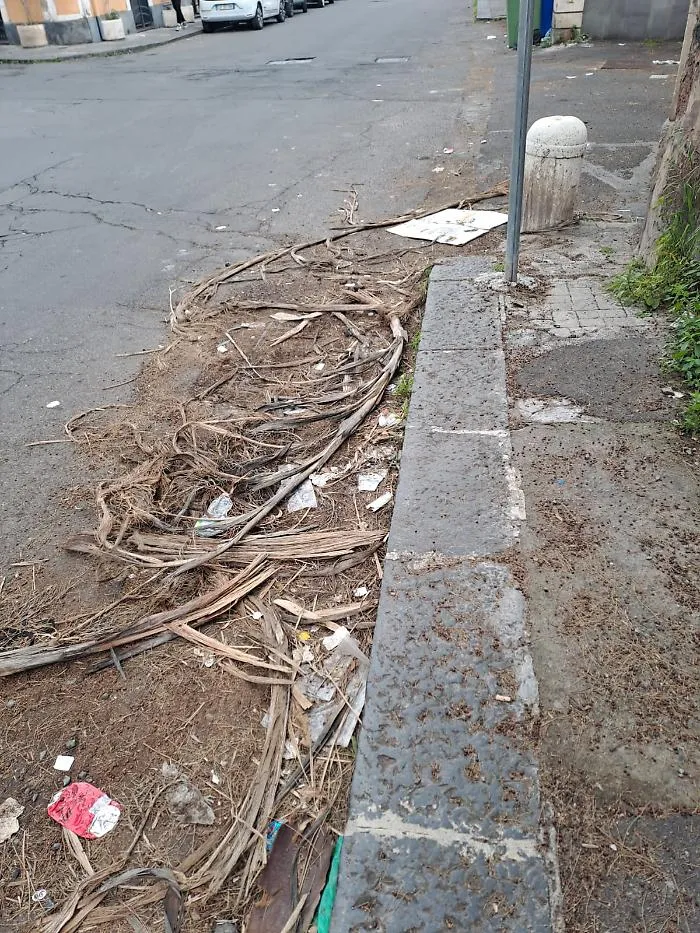 Sporcizia in via Scammacca