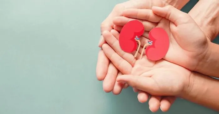 Giornata mondiale del rene, le iniziative in programma all'ospedale Maggiore Baglieri di Modica