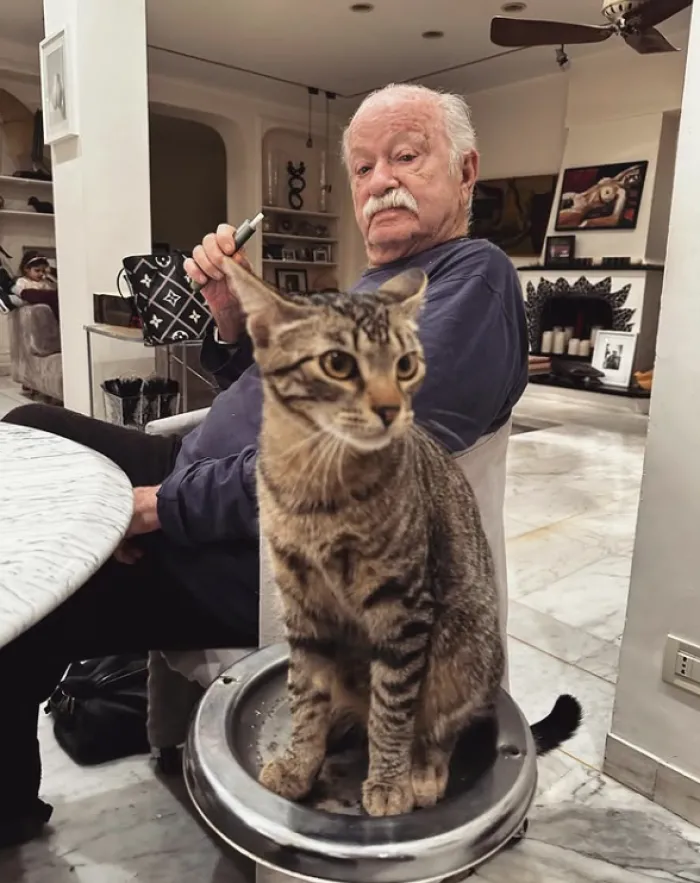 Gino Paoli e i gatti: compagni di vita, alter ego e manifesto di libert&agrave;