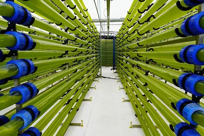 A Catania le aziende di oggi che scrivono il domani: dalle alghe per gli integratori al robot che raccoglie arance, pere e kiwi