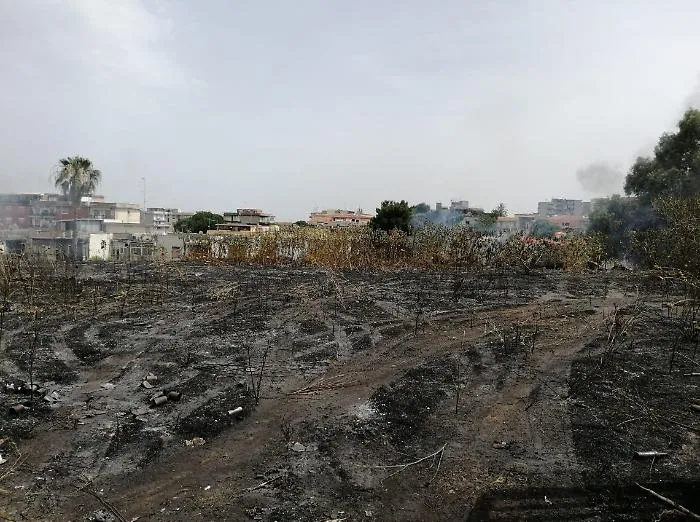 Incendi e prevenzione, a Catania si anticipa di un mese. E il Comune stanzia 460 mila euro 
