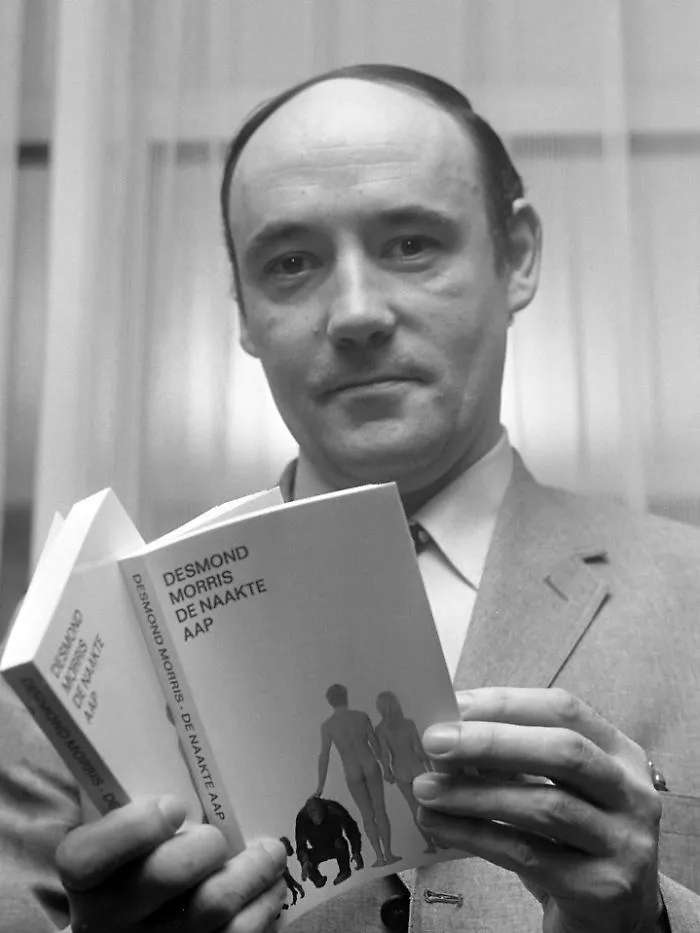 Ci lascia Desmond Morris, l'etologo e pittore autore di "La scimmia nuda"