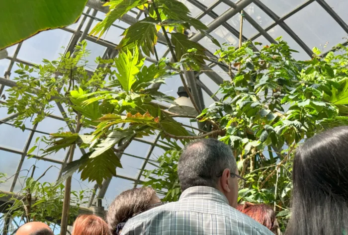 Orto Botanico