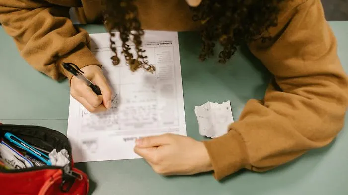 &laquo;Non voglio andarmene&raquo;: la lettera di Tiziana, 10 anni, alla Meloni per chiedere la scuola a Filicudi