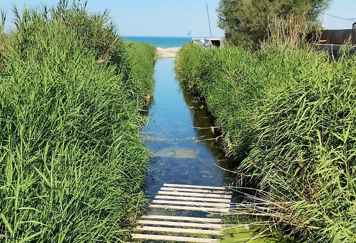 Plaia di Catania, troppi batteri fecali: vietata la balneazione di fronte alla foce del torrente Forcile