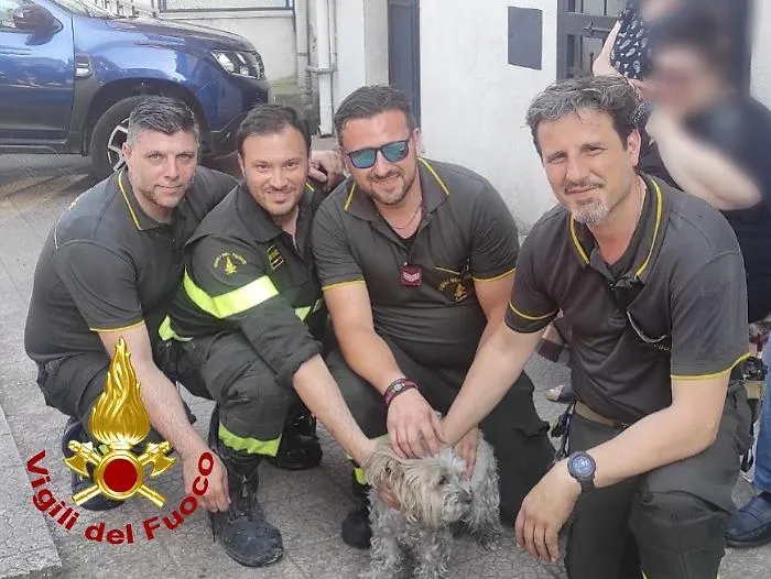 La storia a lieto fine della cagnolina Lilly e dei suoi padroni salvati da un incendio a Misterbianco 