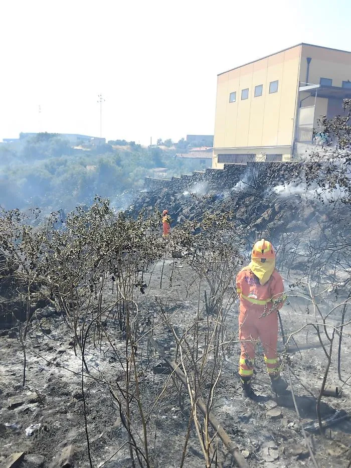 Rogo doloso a Piano Tavola: fiamme dominate dopo i lanci degli elicotteri