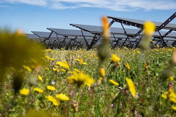 Cosa c'&egrave; dentro il "nuovo" PNRR: la guida ai 2 miliardi tra Transizione 5.0 e svolta green 