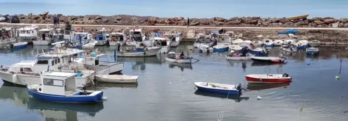 Marinella di Selinunte, pescatori bloccano la rimozione della posidonia: &laquo;Vogliamo i mezzi per il dragaggio del porto&raquo;