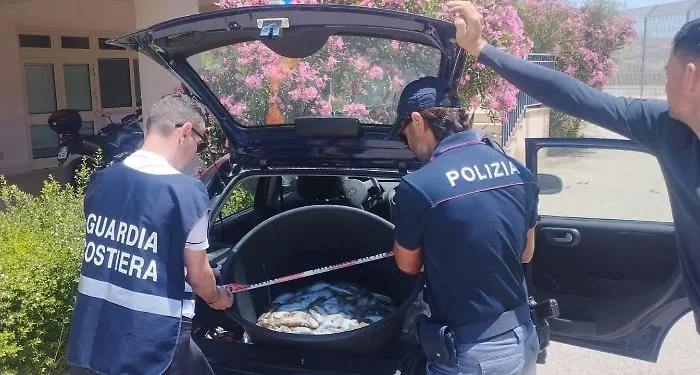 Blitz sulla filiera ittica tra Licata e Agrigento: maxi sequestro di pescato illegale e sanzioni per migliaia di euro