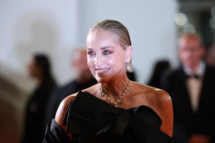 "Un seno pi&ugrave; adatto ai tuoi fianchi": Sharon Stone ha raccontato la fine del suo matrimonio