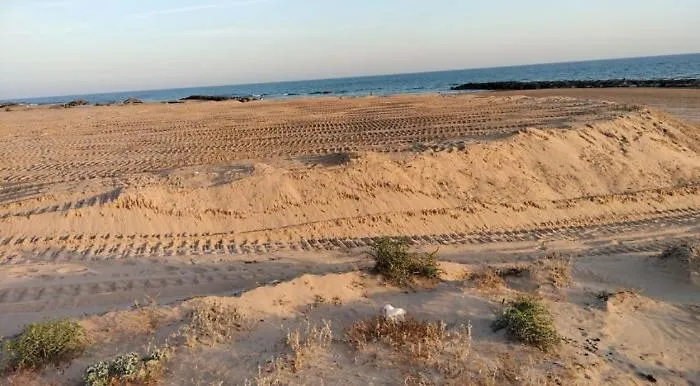 Donnalucata, dune cancellate in un giorno: Micenci denuncia e chiede interventi