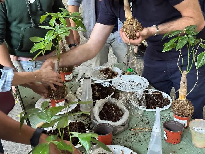 Kokedama sospeso: l'orto appeso a un filo all'Orto Botanico di Catania