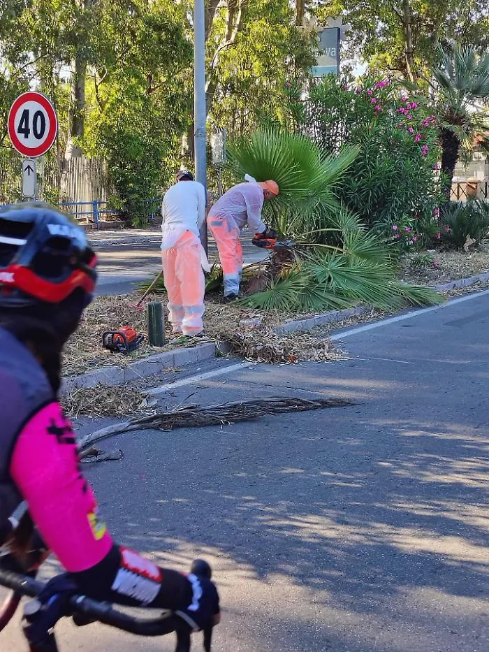 Catania, manutenzione sulle provinciali: pi&ugrave; sicurezza e decoro per le strade