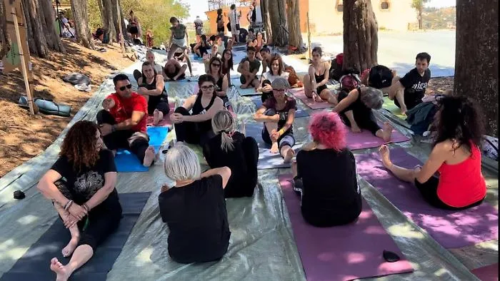Yoga Day Festival