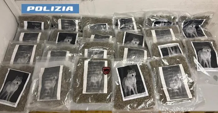 Catania, nel casolare abbandonato un borsone con 20 chili di cannabis: i panetti marchiati con un lupo 