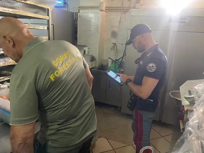 La Polizia in un panificio a Lineri: 150 chili di alimenti sequestrati e multe per violazioni igieniche