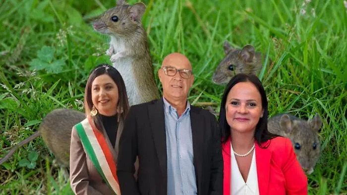 L'emergenza topi e la sfuriata politica maschilista su due consigliere d'opposizione aprono una crisi politica
