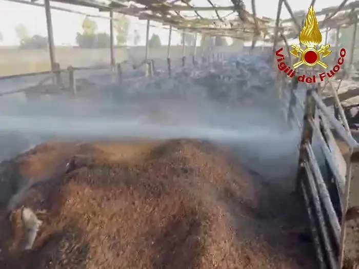 Caldo, bruciano sterpaglie: 22 interventi nel Catanese 