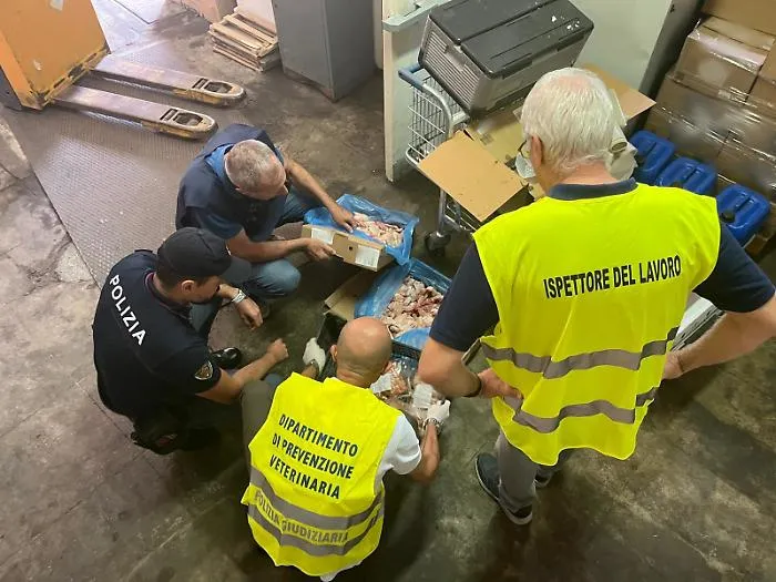 Non tracciabili, mal conservati e tenuti in un magazzino non idoneo: sequestrati e distrutti alimenti per le navi da crociera