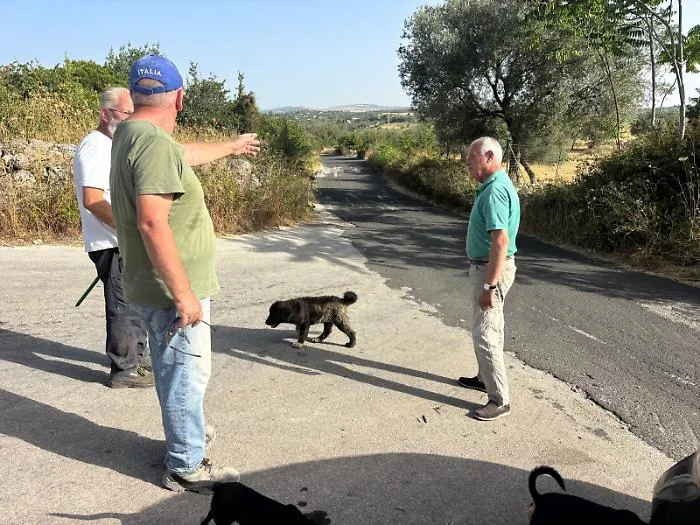 Emergenza SP13 &ldquo;Tradituso&rdquo;: buche, discarica a cielo aperto e rischio per turisti e bambini, l&rsquo;appello di Tringali