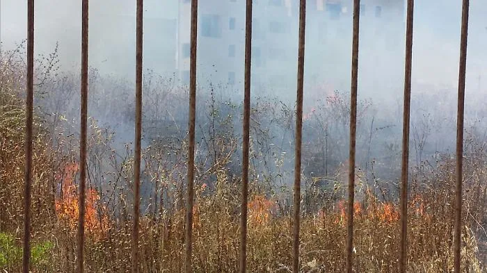 Incendio a Santa Panagia, c'&egrave; la pista dolosa: caccia ai piromani incastrati dalle telecamere