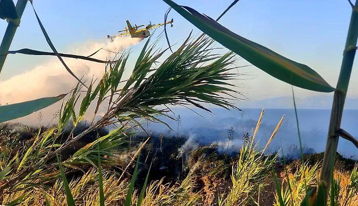 Inferno di fuoco in Sicilia: 40 roghi in poche ore, case lambite e territori al buio