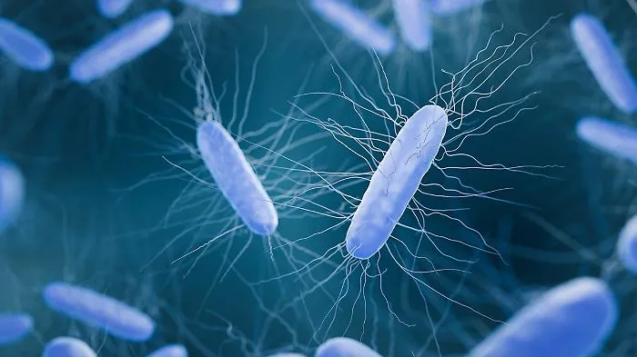 Clostridium difficile:il batterio al centro caso di Tropea