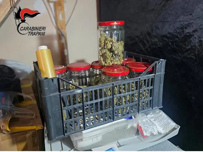 Arrestato a Erice un uomo sorpreso con quasi mezzo chilo di marijuana e attrezzature per la coltivazione