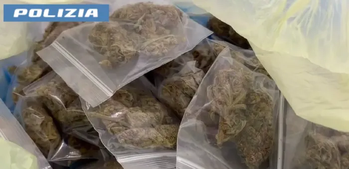 Catania, fermato per un controllo in casa ha un deposito di marijuana 