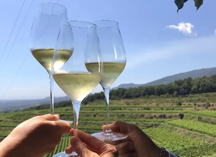 Le  Sagre del weekend in Sicilia: vini, degustazioni e showcooking, pesce, ricotta e pomeriggi giovani. Ecco cosa c'&egrave; da fare nel fine settimana