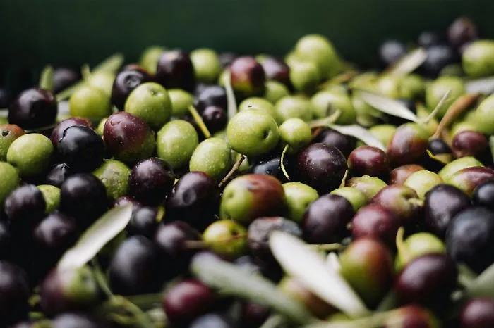 L'olio d'oliva italiano &egrave; in crisi: crollo del 37% in vent'anni. E la Tunisia conquista i mercati (anche il nostro)