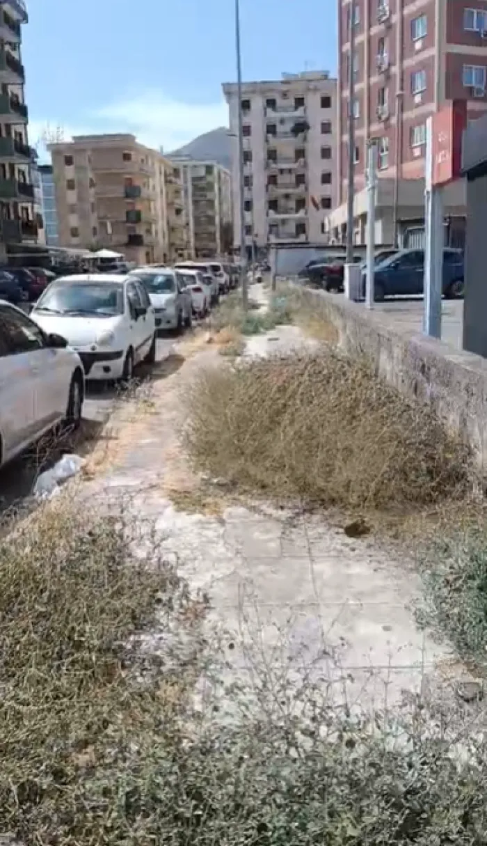 Via Cimabue a Palermo, marciapiede invaso dalle erbacce: i pedoni costretti a camminare sulla carreggiata