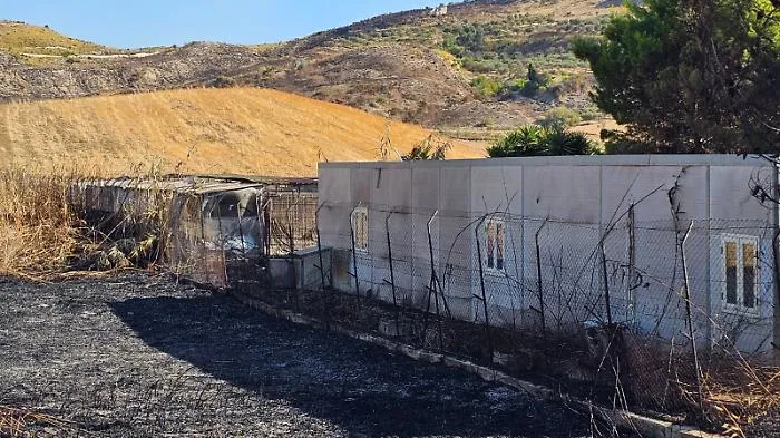 Agrigento, raid incendiario a Fauma: in cenere canile e decine di ulivi