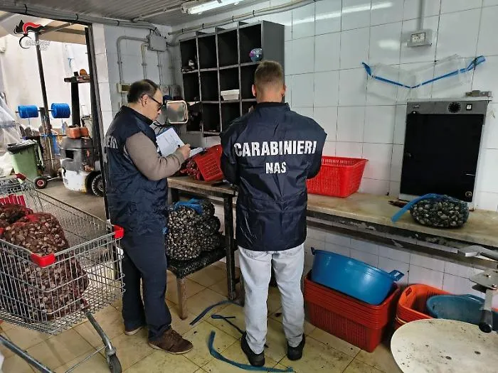 Allarme igienico-sanitario a Palermo: carabinieri del Nas chiudono pescherie e gelaterie, sanzioni per 34 mila euro