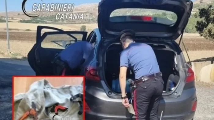 Scorribanda in auto da Catania a Licodia Eubea per rubare l'uva pregiata: denunciati in quattro 