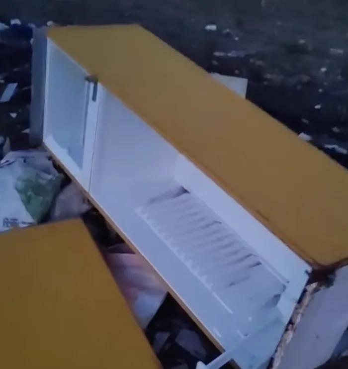 Vittoria, Oipa all'attacco: "Randagismo fuori controllo e territorio devastato dai rifiuti"
