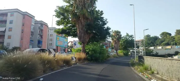 Vegetazione invade la carreggiata nella zona di Fasano