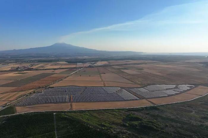 Big Fish, il pi&ugrave; grande impianto agrivoltaico d'Italia nasce ai piedi dell'Etna: 277 MW, coltivazioni protette e produzione di miele