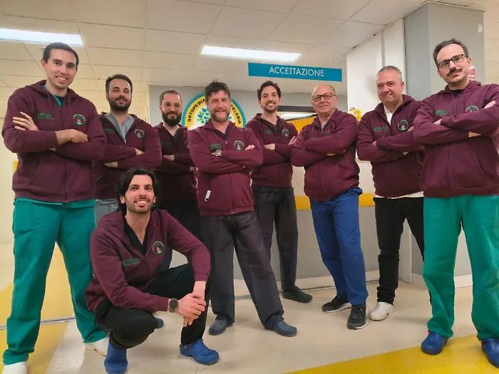 Raro trapianto al ginocchio a Enna: ottantenne torna a camminare dopo sei mesi