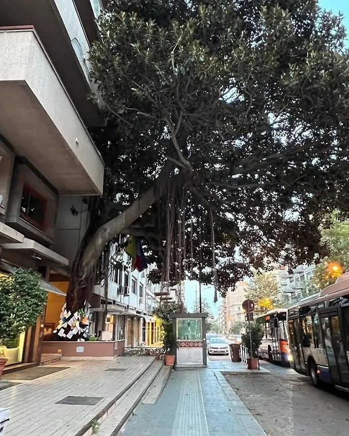 albero falcone