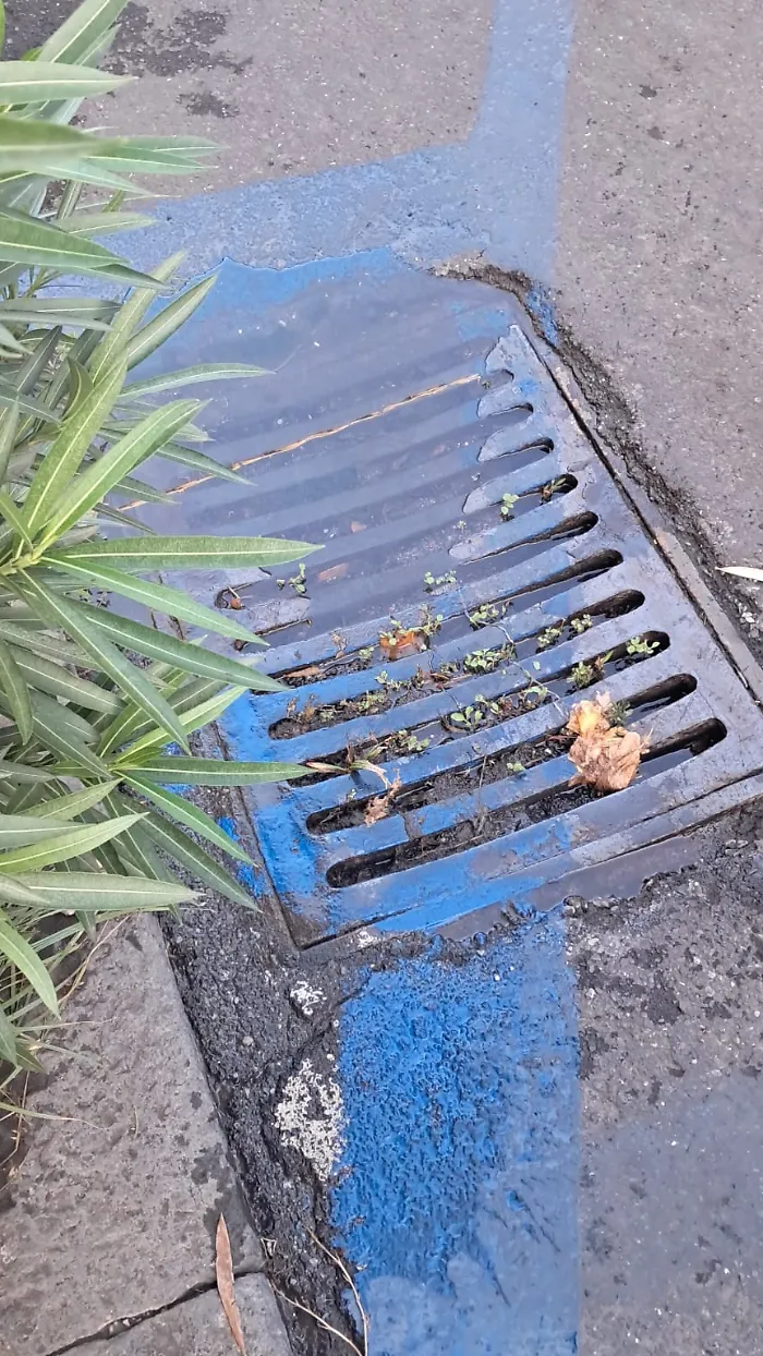 Via Antonino di Sangiuliano alta a Catania: caditoie da pulire e stalli blu da convertire per i motocicli
