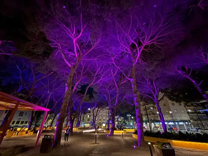 Messina, inaugurata Piazza Quasimodo: 31 pini, verde e nuovi spazi nel cuore della