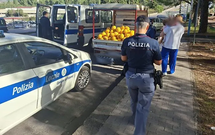 Chili di frutta privi di tracciabilit&agrave; a Patern&ograve;: scatta blitz della Polizia e del Corpo Forestale, sequestri e multe per oltre 13mila euro