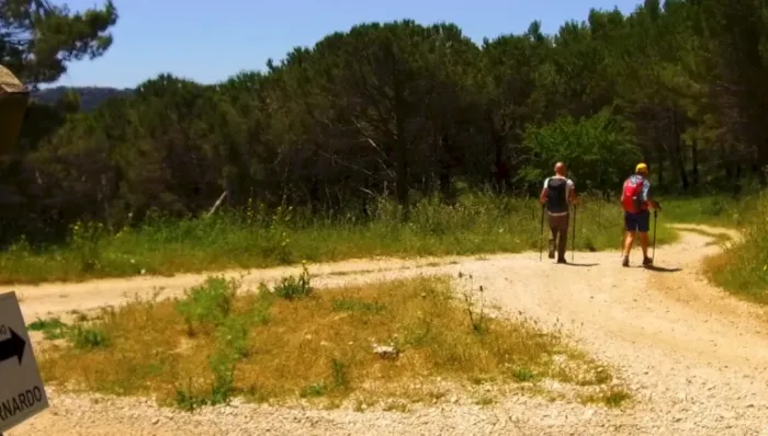 Sulle orme di San Bernardo: cammino lento da Corleone ad Agrigento tra borghi e Monti Sicani