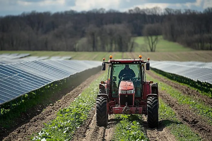 Agricoltura in difficolt&agrave; in Sicilia tra caro carburante e maltempo. Sammartino chiede aiuti urgenti per il grano