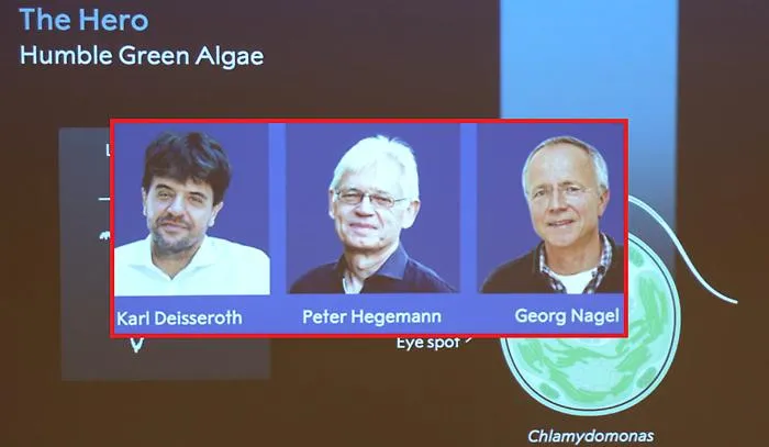 Dai topi alle terapie umane: l&rsquo;optogenetica pu&ograve; curare le malattie del cervello?