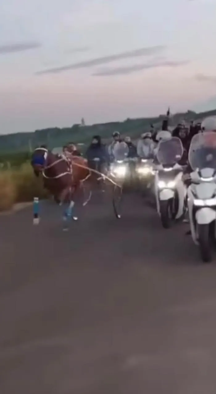Corsa clandestina di cavalli all'alba a Palagonia: video virale condiviso da Enrico Rizzi